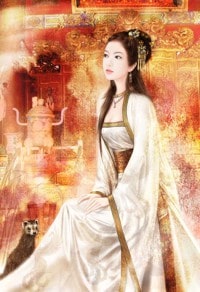 《都市最强赘婿系统》