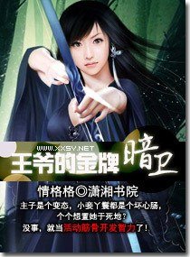 《王爷的金牌暗卫》