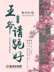 《清穿之王爷请跪好》