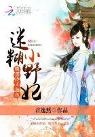 《迷糊小野妃:腹黑冷王,劫色!》