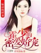 《二嫁清纯鲜妻:霍少的密爱娇宠》