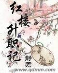 《红楼升职记》