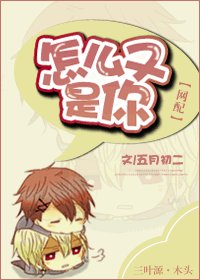 《网配之怎么又是你》