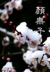 《颜无子》