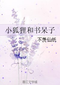 《小狐狸和书呆子》