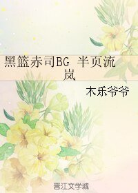 《(黑篮同人)黑篮赤司BG 半页流岚》