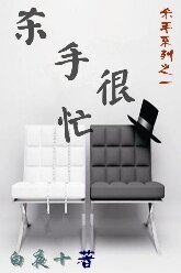 杀手很忙（杀手系列之一）