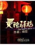 《灵魂驿站》