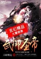 《武御圣帝》