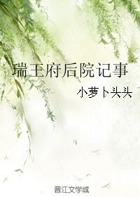 《瑞王府后院记事》