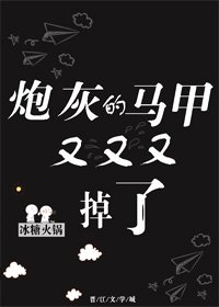 《炮灰的马甲又又又掉了》