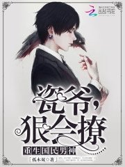 《重生国民男神:瓷爷,狠会撩!》