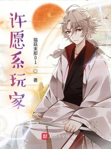 《许愿系玩家》