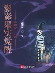《影影果实觉醒后的放飞之旅》