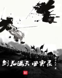 《剑花满天风云录》