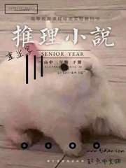 《重生写推理》