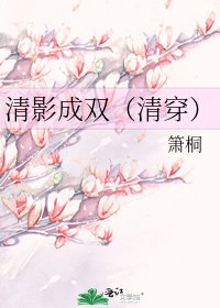 《清影成双(清穿)》