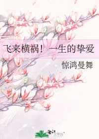 《飞来横祸!一生的挚爱》