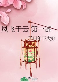 《凤飞于云 第一部》