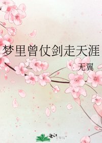 《梦里曾仗剑走天涯》