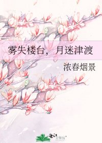 《雾失楼台,月迷津渡》