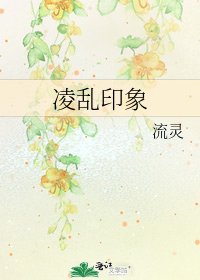 《凌乱印象》