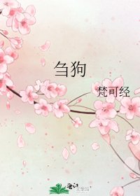 《刍狗》