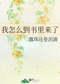 《我怎么到书里来了》