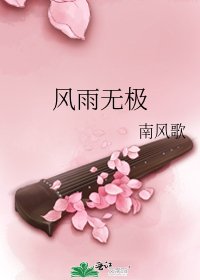 《风雨无极》