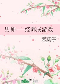 《男神——经养成游戏》