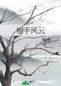 《袖手风云》