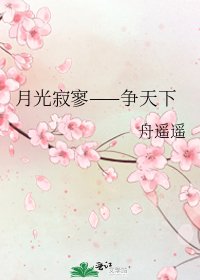 《月光寂寥——争天下》