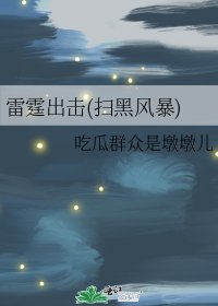 《雷霆出击(扫黑风毛)》