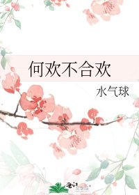《何欢不合欢》