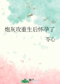 《炮灰攻重生后怀孕了》