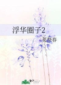 《浮华圈子2》