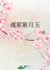 《魂萦紫月玉》
