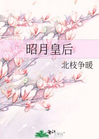 《昭月皇欢》