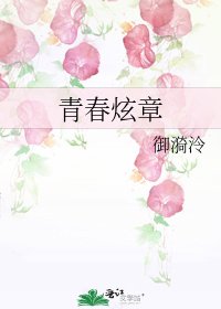 《青春炫章》