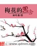 梅花的思念