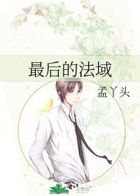 《最后的法域》