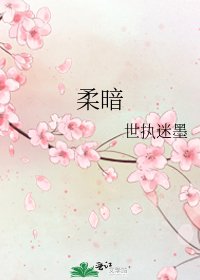 《柔暗》