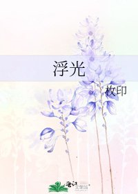 《浮光》