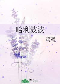 《哈利波波》