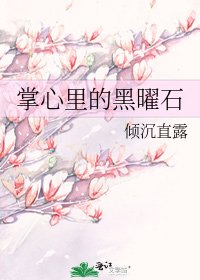 《掌心里的黑曜石》