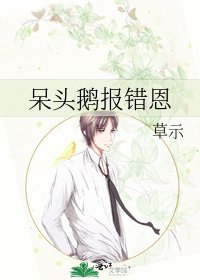 《呆头鹅报错恩》