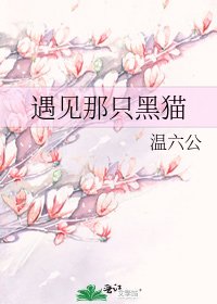 《遇见那只黑猫》