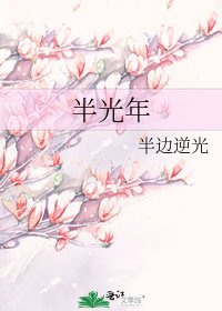 半光年