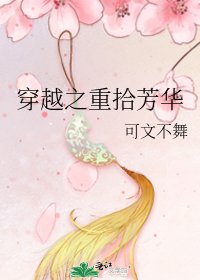 《穿越之重拾芳华》