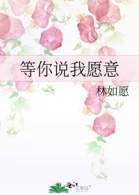 《等你说我愿意》